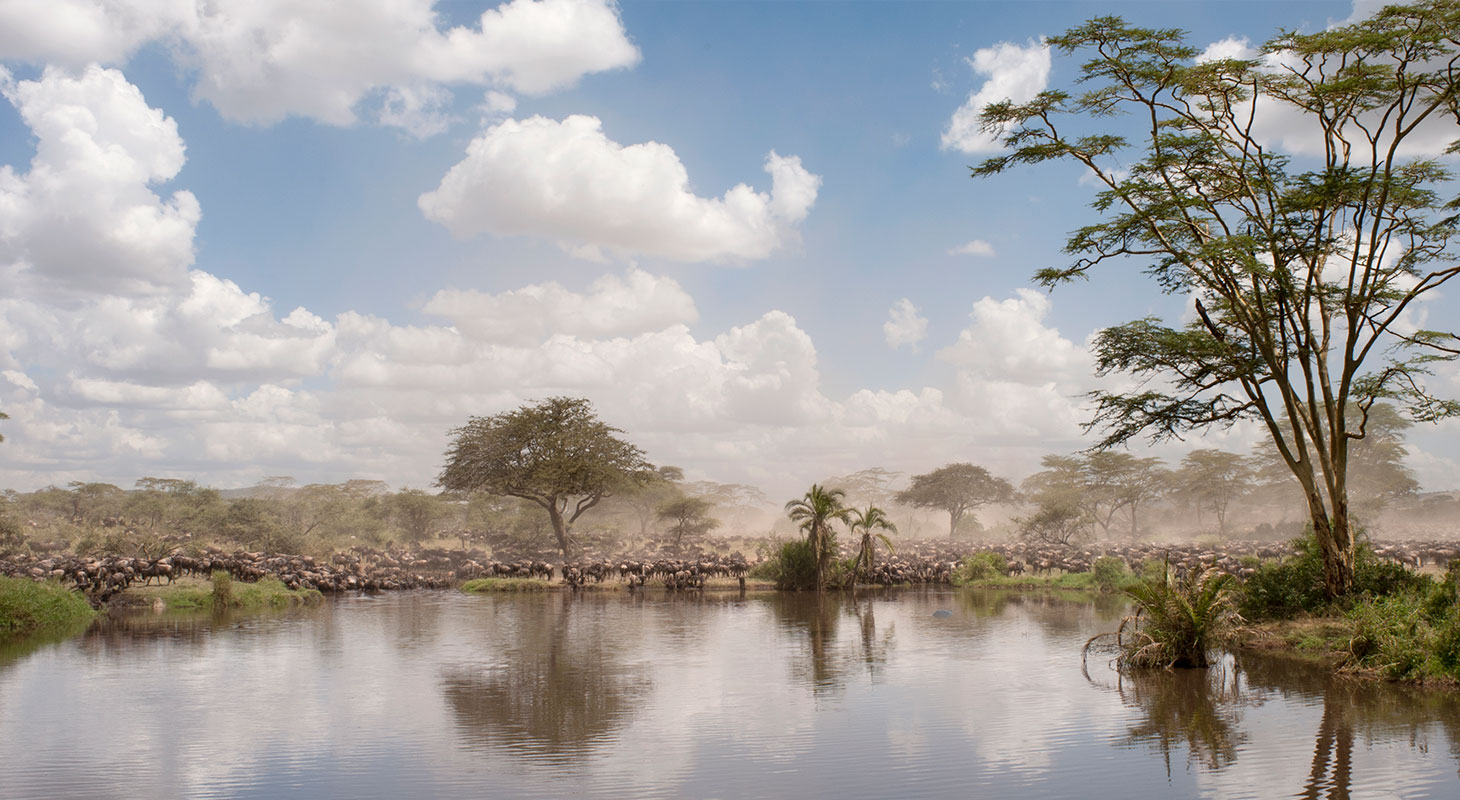 Serengeti National Park, Tanzania