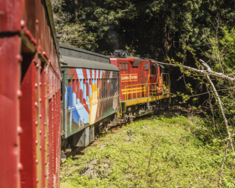 Pudding Creek Express