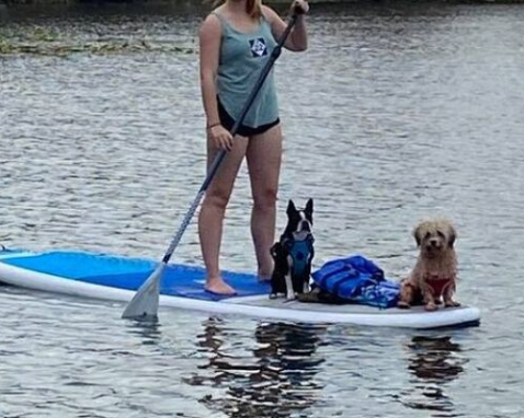 Kayak Or SUP With Pups