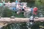 Silver Springs Manatee And Monkeys Kayak Or SUP