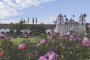 Historic Food and Drink Tasting Tour of Santa Barbara