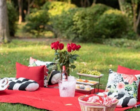 Charlotte Private Picnic