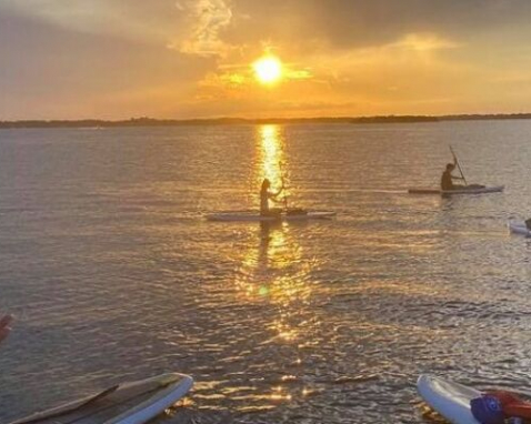 Titusville Dolphin And Manatee Kayak Or SUP Tour
