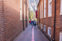 Boston Seafood And Freedom Trail Walking Tour