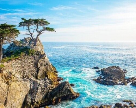 Monterey Scenic 17-Mile Drive Tour