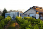 San Luis Obispo Tandem Sidecar Winery Tour