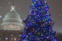 Washington DC Moonlit National Mall Tour