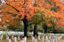 Arlington National Cemetery Guided Walking Tour