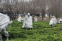 Washington DC Guided Landmarks Sightseeing Tour