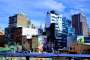 New York High Line Park Walking Tour