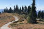 Seattle Mt. Rainier National Park Day Tour