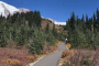 Seattle Mt. Rainier National Park Day Tour