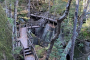 Boston Lost River Gorge and Flume Tour