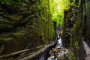 Boston Lost River Gorge and Flume Tour
