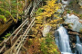 Boston Lost River Gorge and Flume Tour