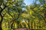 New York Art and Culture Walking Tour