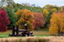 New York Scenic Art and Nature Tour