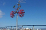 Coronado Scenic Bike Tour and Ice Cream