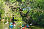 Tavares Dora Canal Adventure and Craft Beer