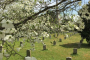 Atlanta Civil Rights and History Walking Tour