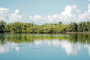 Islamorada Scenic Nature and Dining Tour