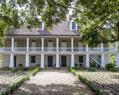 New Orleans Plantation Tour and City Experience