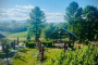 Asheville North Carolina Winery Tour Experience