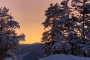 Golden Rocky Mountains Sunset Hiking Experience