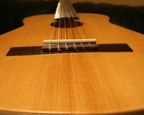 Denver Guitar Workshop