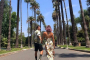 Los Angeles Scenic Photo Tour Experience