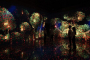 Las Vegas Eternal Nature Art Experience