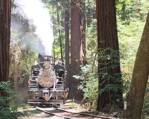 San Francisco Roaring Camp Train Experience