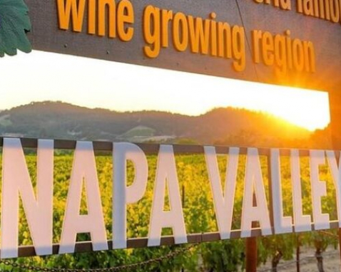 San Francisco to Napa Valley Wine Tour