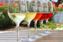 Santa Barbara Taco and Wine Tasting Tour
