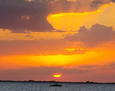 Fort Myers Beach Sunset Cruise and Wildlife spotting