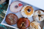 Delicious New Orleans Donut and Beignet Tour