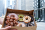 Delicious Chicago Donut Tour