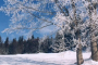 Albuquerque Snowshoeing Adventure