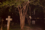 Charleston Haunting Ghost Walking Tour