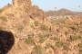 Sonoran Desert Sunrise Hot Air Balloon Ride