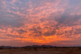 Sonoran Desert Sunrise Hot Air Balloon Ride