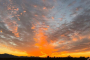 Sonoran Desert Sunrise Hot Air Balloon Ride