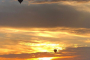 Sonoran Desert Sunset Hot Air Balloon Ride