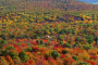Westchester Autumn Helicopter Tour Experience