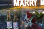 New York Private Helicopter Proposal Experience