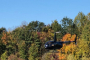 Westchester Fall Colors Helicopter Tour