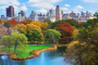 New York Central Park Wildlife and Sculpture Tour