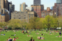 New York Central Park Wildlife and Sculpture Tour
