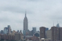 New York City Ultimate Themed Walking Tour