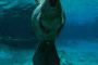 Crystal River Manatee Snorkel Tour Experience